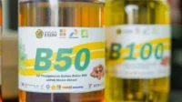 Ilustrasi B50